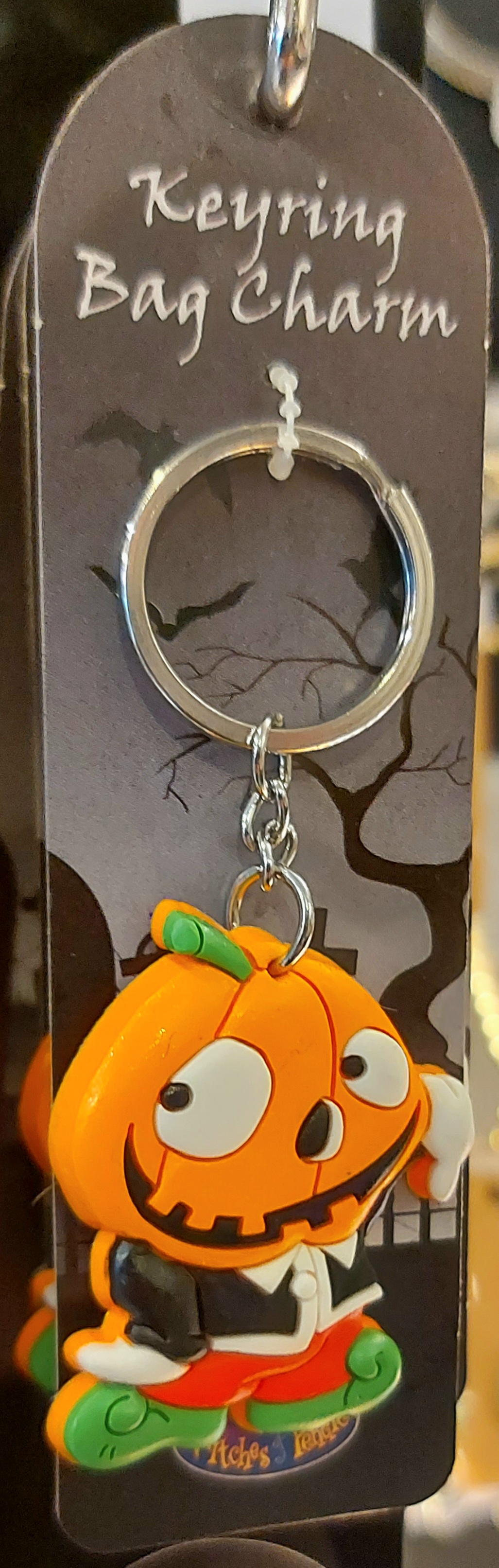 Witches of pendle 3d keyring