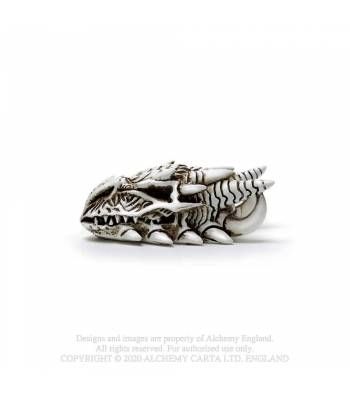 DRAGON SKULL: MINITURE (VM9)