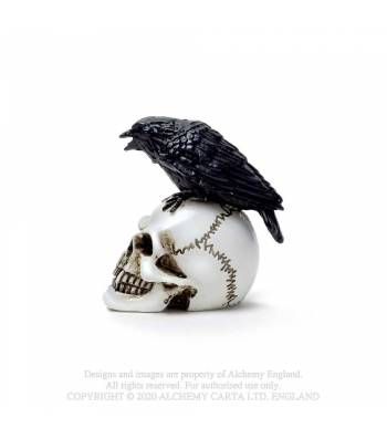 RAVEN SKULL: MINITURE (VM7)